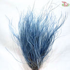 Dry Feather Grass