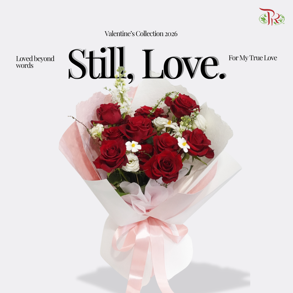 【VDAY 2026】For My True Love (M Size)