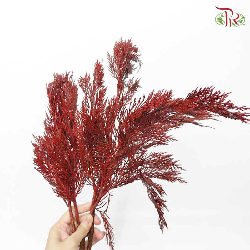 Cedar Leaf Dyed Red - (5 Stems) - Pudu Ria Florist