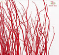 龙柳 Salix TW (3 Stems)