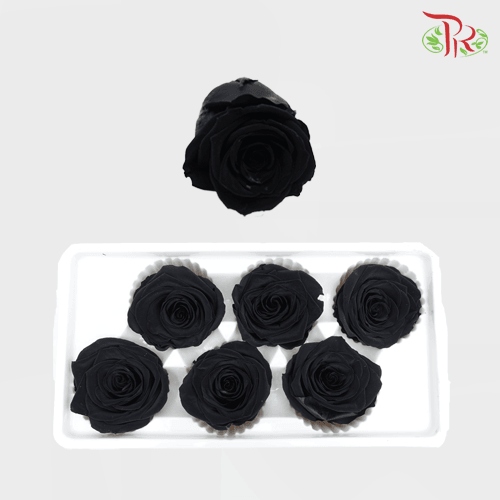 6 Bloom Rose - Black-Black-China-prflorist.com.my