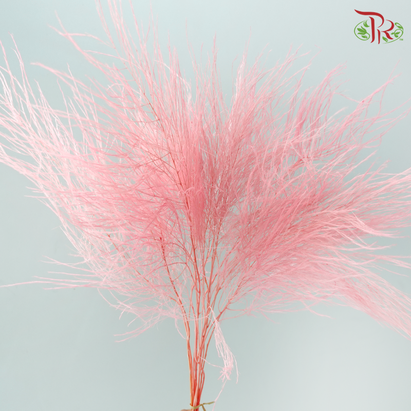 Preserved Tiki Fern