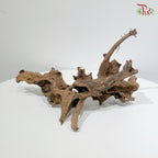 Coral Wood《珊瑚木》1KG