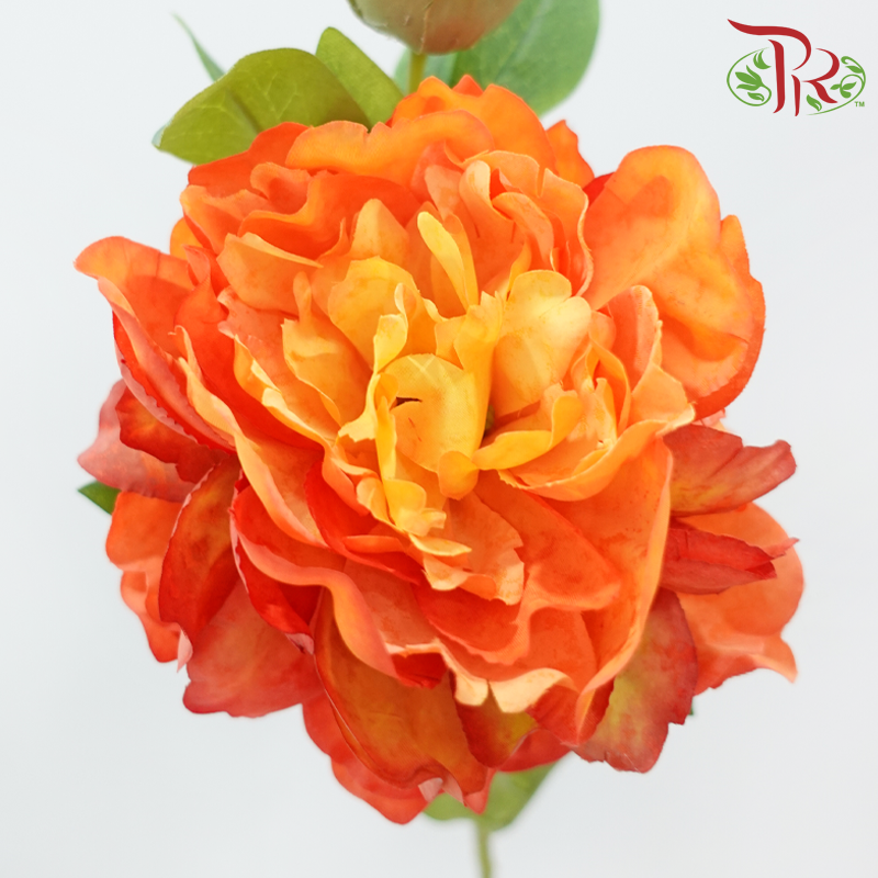 Artificial Peony Spray - 2 Stems