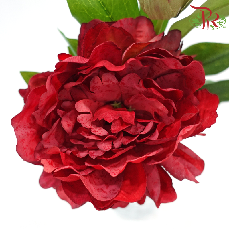 Artificial Peony Spray - 2 Stems
