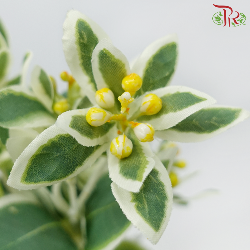 68cm - Artificial Euphorbia Spray (3 Stems)-Pudu Ria Florist-prflorist.com.my