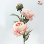 Artificial Peony Spray - 2 Stems