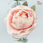 Artificial Peony Spray - 2 Stems