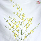 Orchid Oncidium Dancing Lady