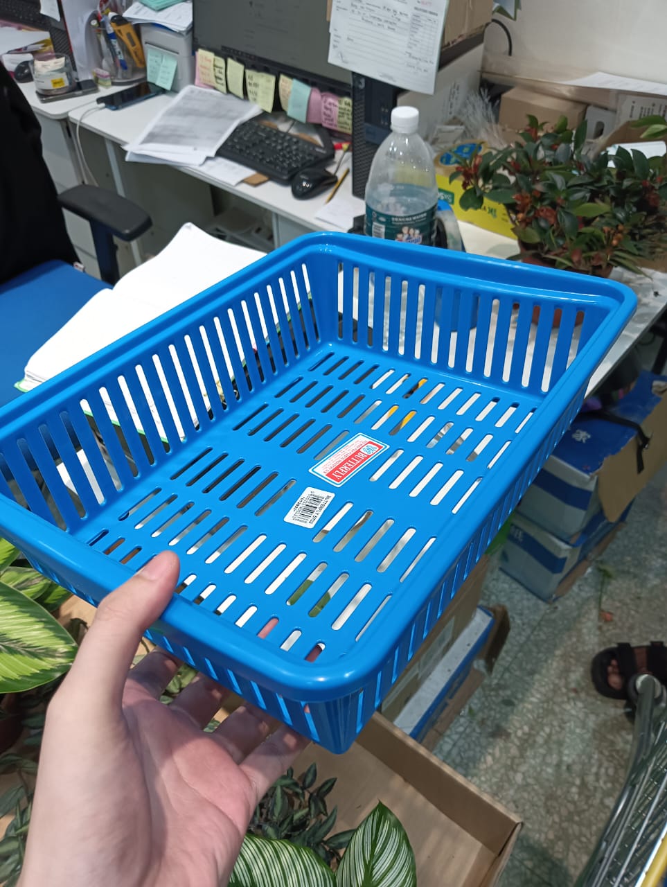 Plastic Handy Basket (Random Color)