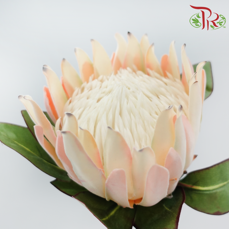 Artificial Protea Spray - Per Stem