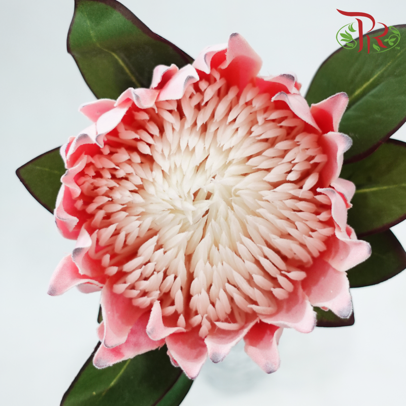Artificial Protea Spray - Per Stem