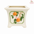 TY-D22001 Pot