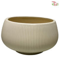 TX-JW01039.6 Ribbed Ceramic Planter - Cream