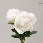 Peony 《牡丹》- Small / Medium Head