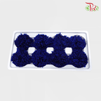 8 Bloom Preservative Carnation - Dark Blue-Blue-China-prflorist.com.my