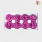 8 Bloom Preservative Carnation - Lilac-Lilac-China-prflorist.com.my