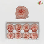 8 Bloom Rose - Peach-Peach-China-prflorist.com.my