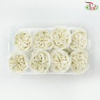 8 Blooms Austen Rose Soap Flower - Cream-Cream-Pudu Ria Florist-prflorist.com.my
