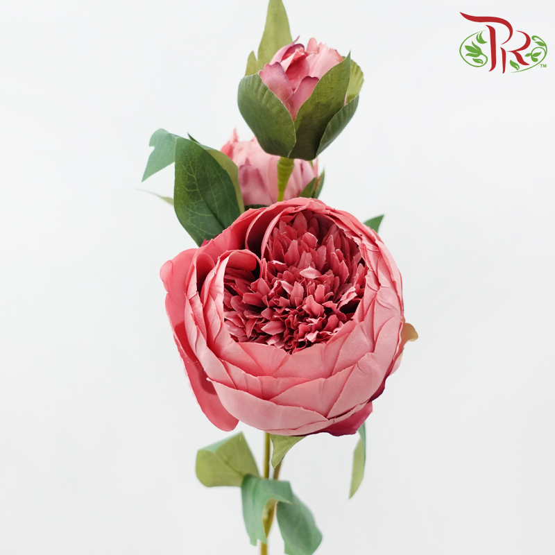 Artificial Peony Sarah - 2 Stems
