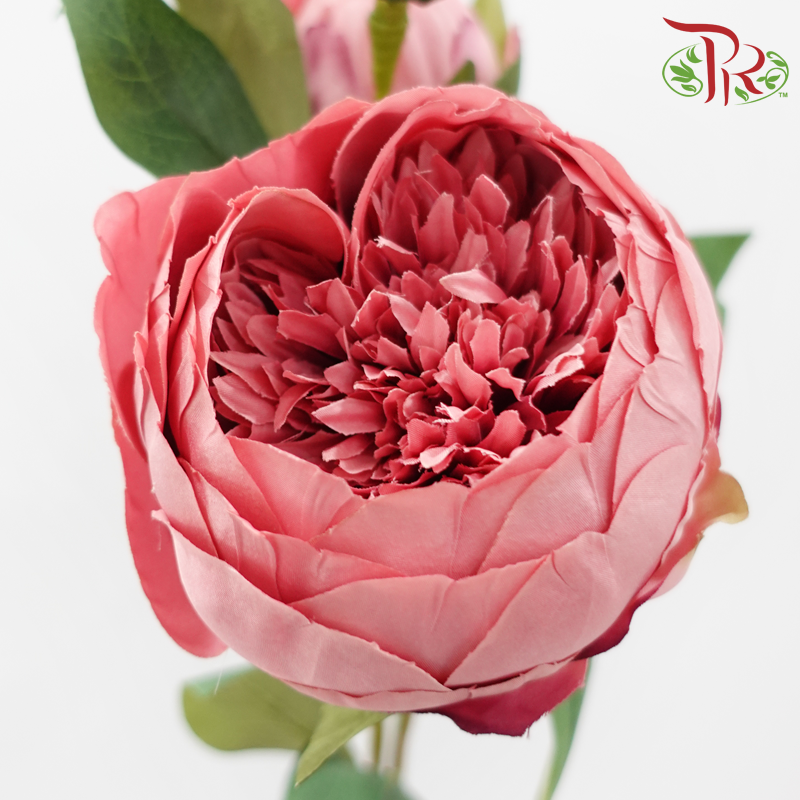 Artificial Peony Sarah - 2 Stems