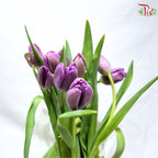 Tulip