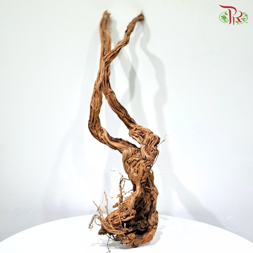 Ma Hua Teng Wood 《麻花腾》 1kg