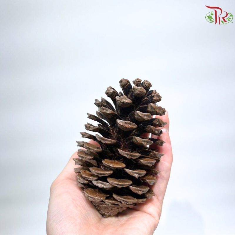 Pine Cone S (6-9cm) - Copper(5 PCS)