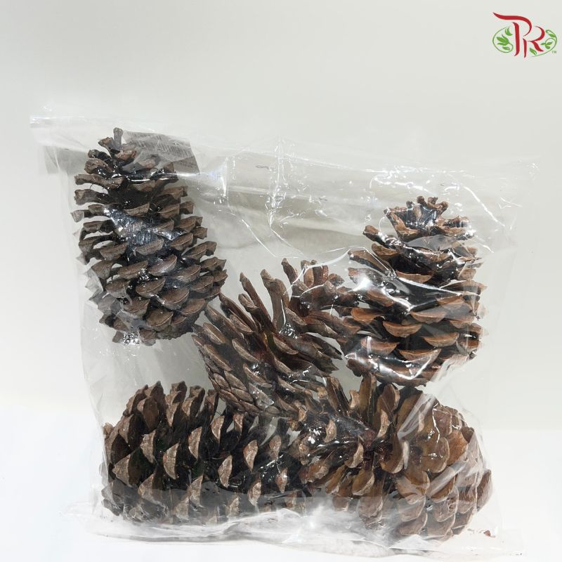 Pine Cone S (6-9cm) - Copper(5 PCS)