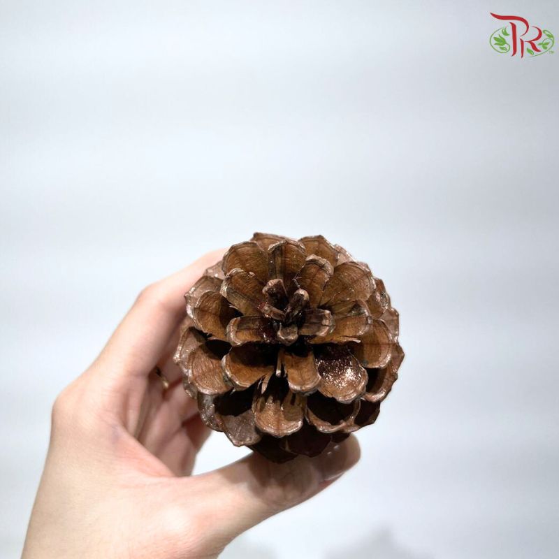 Pine Cone S (6-9cm) - Copper(5 PCS)