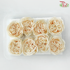 Austen Rose Soap Flower
