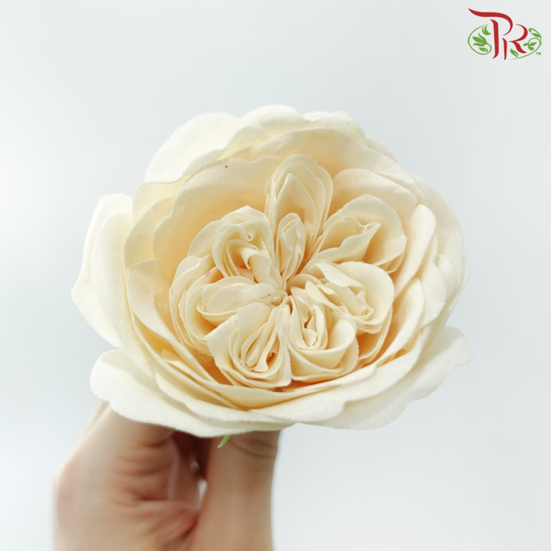 Austen Rose Soap Flower
