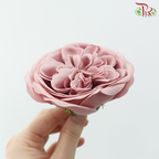 Austen Rose Soap Flower