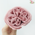 Austen Rose Soap Flower