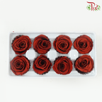8 Blooms Preserved Rose