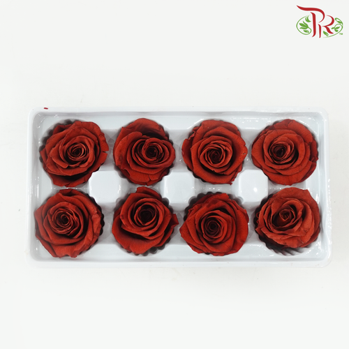 8 Blooms Preserved Rose
