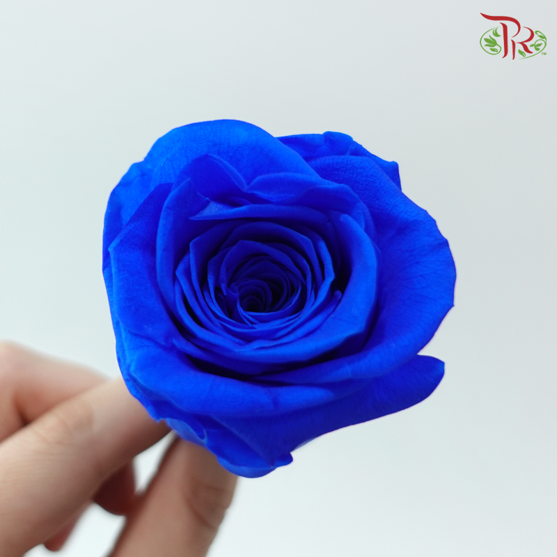 8 Blooms Preserved Rose