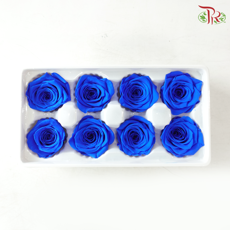 8 Blooms Preserved Rose