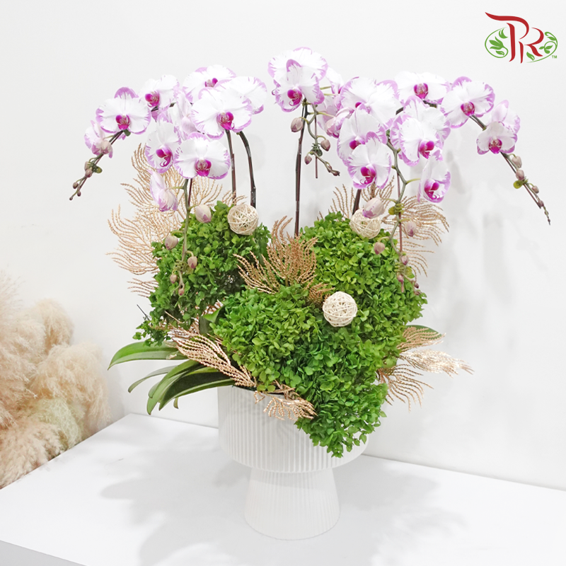 Blooming Haven (Random Choose Design & Orchid Color)