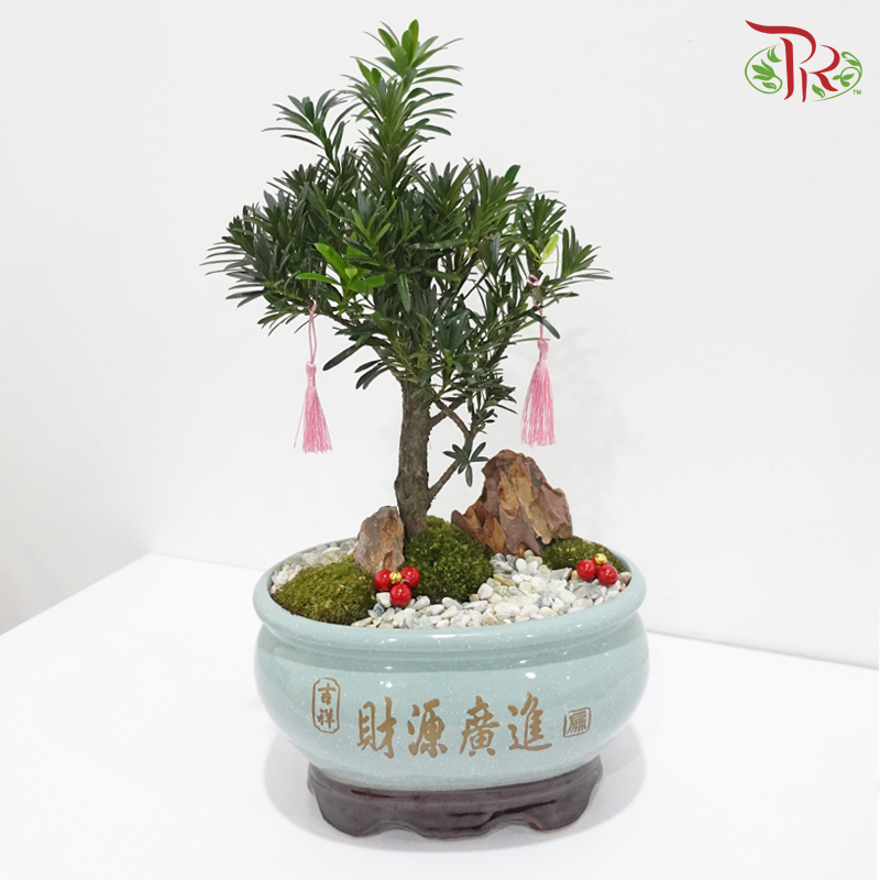 Flourishing Happiness《幸福繁盛》