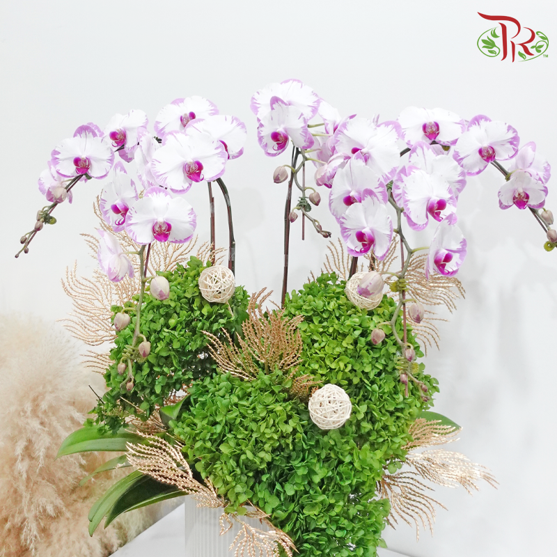 Blooming Haven (Random Choose Design & Orchid Color)