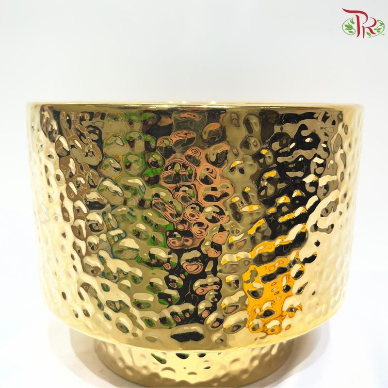 TX-WD10233C Gold Pot