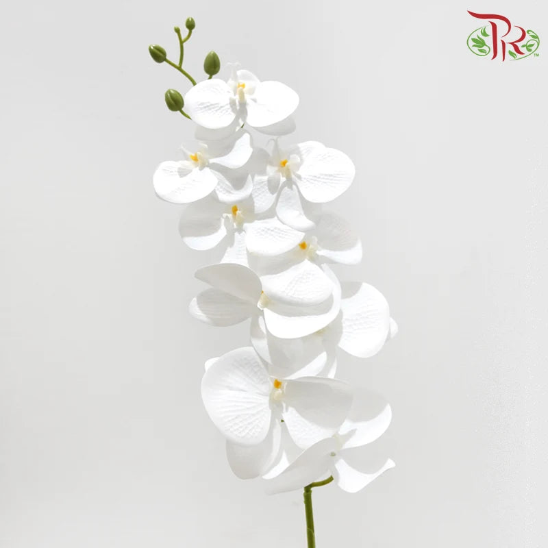 90cm Artificial Butterfly Orchid - White (Per Stem)