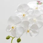 90cm Artificial Butterfly Orchid - White (Per Stem)