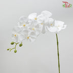 90cm Artificial Butterfly Orchid - White (Per Stem)