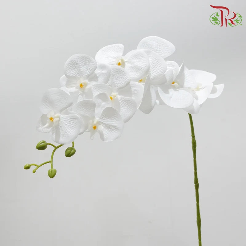 90cm Artificial Butterfly Orchid - White (Per Stem)