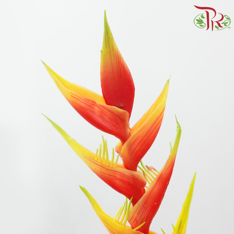 Artificial Heliconia Spray - 2 Stems