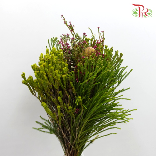 Safari Mix (Cone/Cape) - 1 (Per Bunch) - Pudu Ria Florist