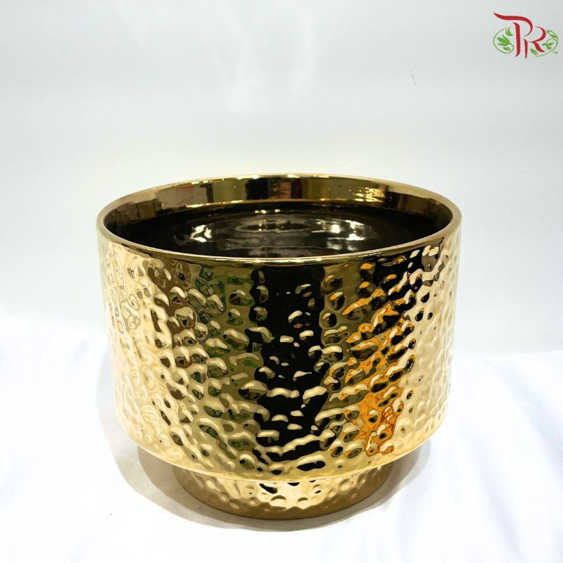 TX-WD10233C Gold Pot