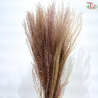 Dried Eulalia Bleached
